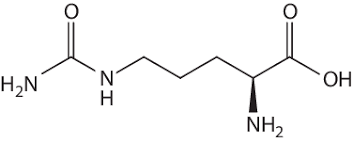 Unveiling the Power of Citrulline: Top Benefits for Your Health