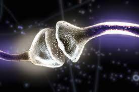 Unraveling the Wonders of Neurotransmitters: How Nootropics Boost Brain Function
